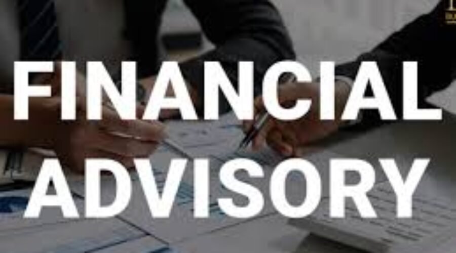 We are a boutique consulting firm focusing on Companies in growth stage helping them raise Equity /  Debt.