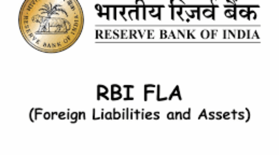 FLA Return Filing Alert – Due by 15th July!